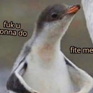 Meet your Posher, Lexi